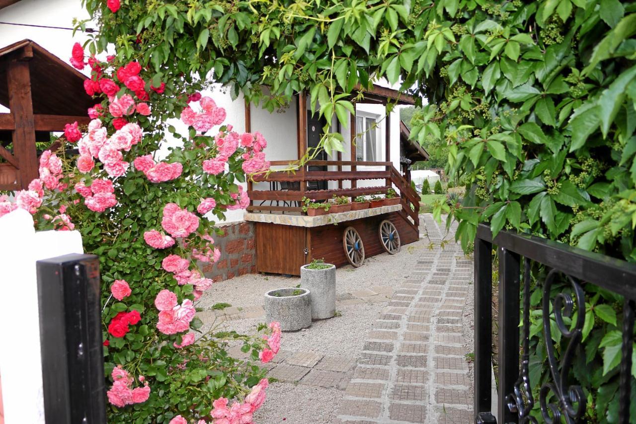 Guest House Medina ベログラドチク エクステリア 写真